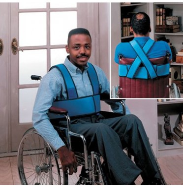 Wheelchair harness support